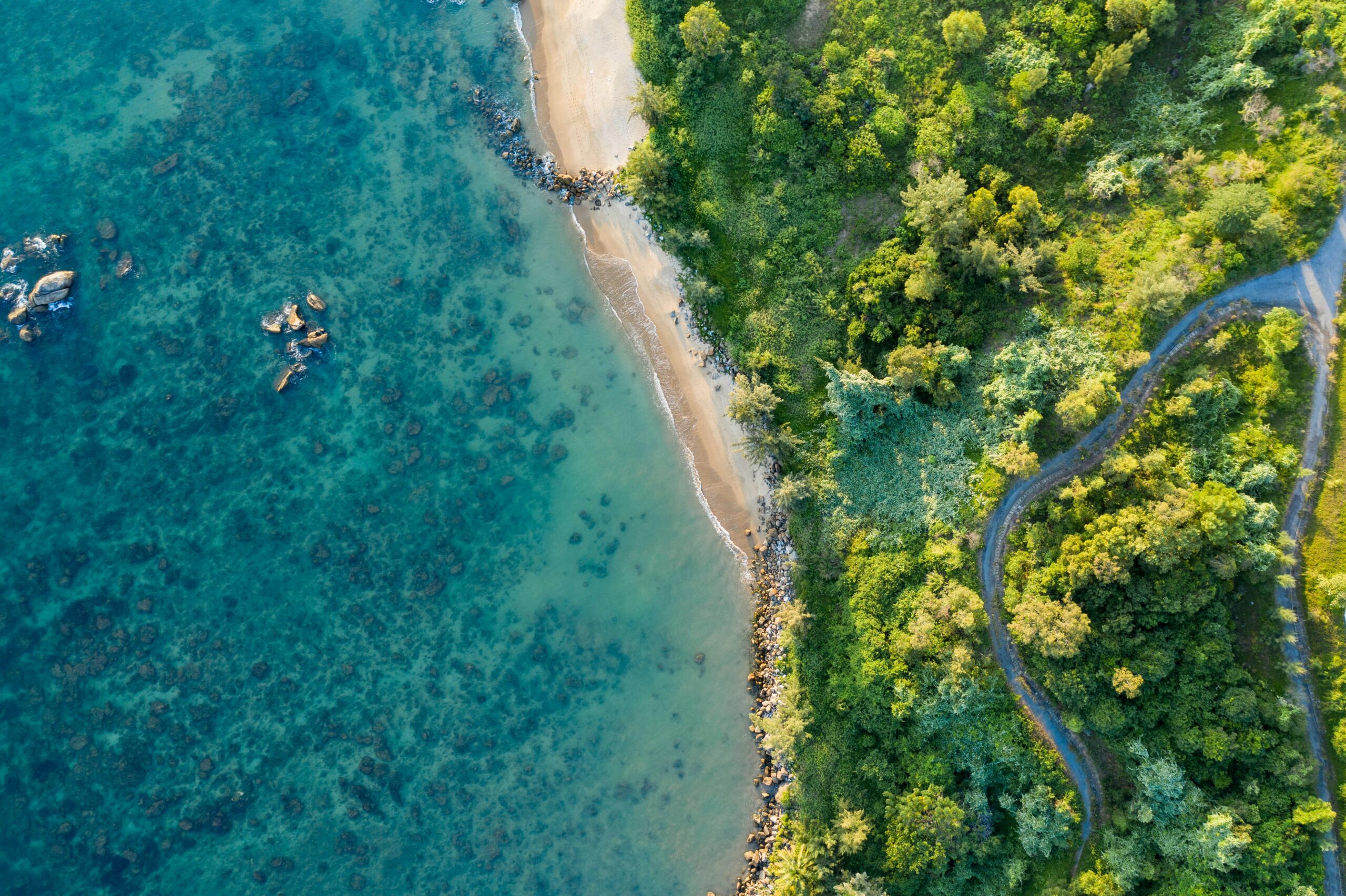 kiril-dobrev-v63UL8s28Ew-unsplash (1)